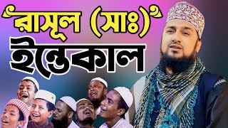 রাসূল সাঃ ইন্তেকালের ঘটনা শুনলে চোখে পানি চলে আসবে😭Hasanur rahman hussain naqshabandi😭কান্নার ওয়াজ [upl. by Elraet]