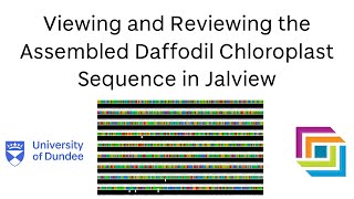 Video 6 Reviewing the Assembled Sequences using Jalview [upl. by Nednal]