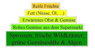 6 besten amp schlechtesten Kategorien meiner persönlichen Ernährungspyramide mit veganer Rohkost [upl. by Epner871]