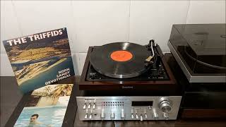 The Triffids  Wide open roads Vinyl  HQ Audio [upl. by Retsof]