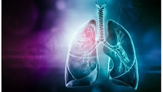 Anatomy of thorax tracheobronchial tree amp root of lung [upl. by Nurse]