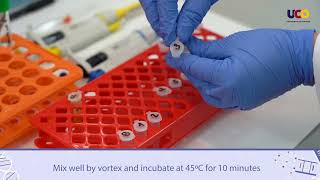 Quantitative analysis of proteins by the Lowry method [upl. by Agler]