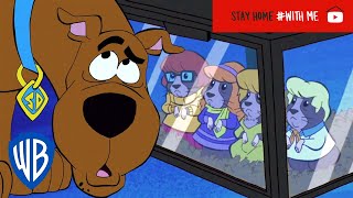 Top 10 Classic Scooby Doo Episodes [upl. by Myrt453]