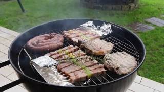 WEBER BARBECUE GRILL  BBQ [upl. by Agueda641]