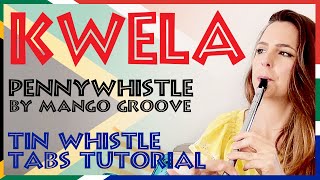 KWELA MUSIC ON TIN WHISTLE  Pennywhistle  Mango Groove  TUTORIAL TABS INTERMEDIATE [upl. by Aneret]