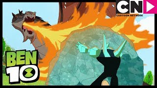 El dragón  Ben 10 Español Latino  Cartoon Network [upl. by Ocsic]