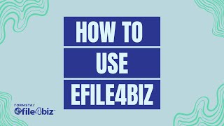 How To Use efile4Biz [upl. by Aniaj349]