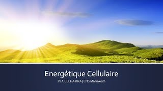 Bioénergétique Cellulaire  partie 1 [upl. by Nemzzaj]