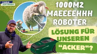 Parkside 1000m2 MähRoboter  Der Richtige für unseren quotAckerquot [upl. by Arracat]