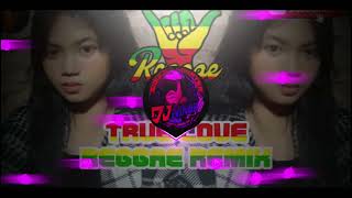 TRUE LOVE  SOJA X DJ NIN3R  REGGAE REMIX [upl. by Atiuqan632]