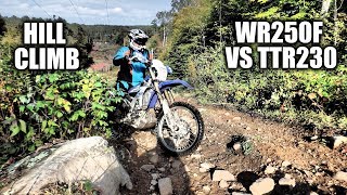 Yamaha TTR230 vs WR250F  Calabogie Hillclimb  Battle of the Yamahas [upl. by Clark780]