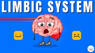 Emotions and the Brain What is the limbic system [upl. by Kado]