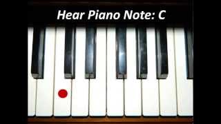 Hear White Piano Keys  All 52 Notes [upl. by Mroz734]