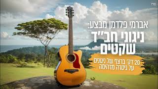 ניגונים ללא מילים • אברמי פלדמן🎸 [upl. by Radford857]