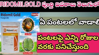 Ridomil Gold Fungicide Full Details telugu  Ridomilgold పూర్తి వివరాలు తెలుగులో villagefarmingr [upl. by Pollock]