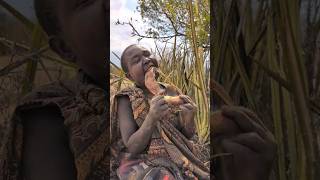 Wow Thats incredible delicious Roots edible by tribe in Forest hadzabetribe villagelife food [upl. by Hak626]