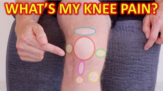 Why Your Knee Hurts Knee Pain Types By Location amp Description [upl. by Nodnyl]