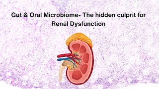 Gut amp Oral Microbiome The hidden culprit for Renal Dysfunction renaldisease kidneydisease [upl. by Remington889]