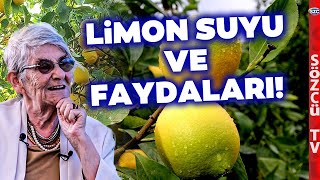 Canan Karatay Limon Suyunun Faydalarını ve Bilinmeyenlerini Anlattı [upl. by Loziram]