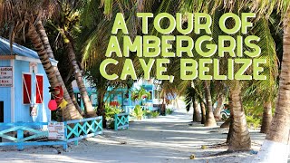 Tour of Ambergris Caye Belize [upl. by Ninerb]