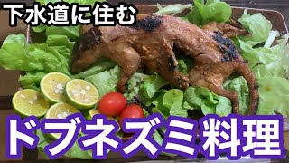 ネズミ料理！命に感謝！別荘で獲れたドブネズミを料理する！ Mouse dishes！ The harmful animal extermination！ 吃沟鼠！ [upl. by Lotti]