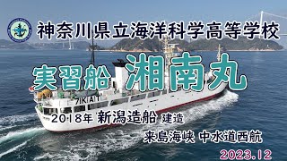 ようこそ来島海峡へ 実習船「 湘南丸 」神奈川県立海洋科学高等学校 [upl. by Felicidad452]