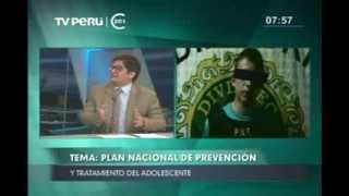 ¿Cuál es el perfil del adolescente peruano que incurre en la delincuencia [upl. by Emelia]