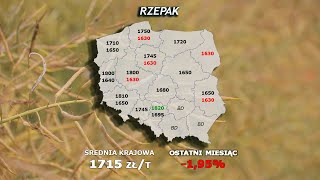 244 agro wiadomości nonstop  05032024 [upl. by Ecyt]