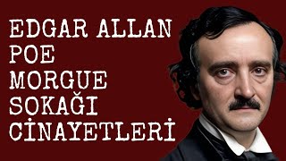 Edgar Allan Poe  Morgue Sokağı Cinayetleri  Sesli Kitap Dinle  Seslendiren  Sanem Şahin [upl. by Ydnam848]