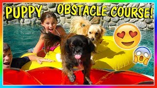 MAKING A PUPPY POOL OBSTACLE CHALLENGE  We Are The Davises [upl. by Arakal]