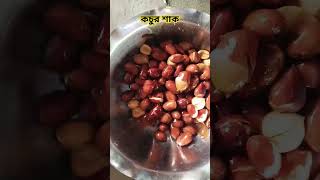 Kachur Sak 😋💯❤️delicious shortvideo lunchideas foodie lunchrecipes recipe song telugu [upl. by Nnaeoj]