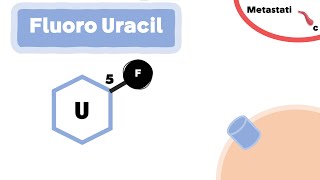 The Mechanism of Fluorouracil 5FU [upl. by Atwahs]