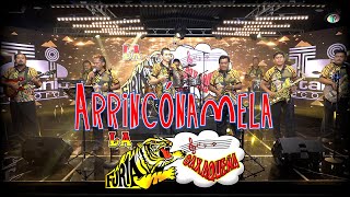 La Furia Oaxaqueña  Arrincónamela Video Oficial [upl. by Drogin914]