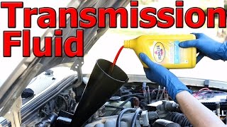 How to Change Automatic Transmission Fluid and Filter COMPLETE Guide [upl. by Lyrradal746]