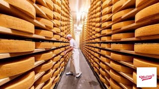 How Swiss Gruyere Cheese Is Made  How Its Made  Murrays Cheese [upl. by Yettie]