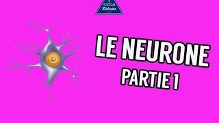 Le Neurone Partie 1 [upl. by Aysa142]