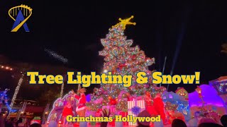 Grinchmas Tree Lighting and Wintery Snowfall [upl. by Brinna908]