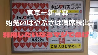 大人気のキュンパス🎫早く購入しないとヤバイぞ💦1月23日現在の新青森行きはやぶさの混雑状況！購入したらえきねっとで一刻も早い座席指定を⚠ [upl. by Aynuat]