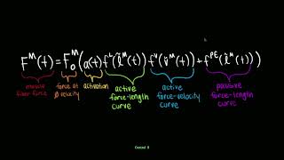 Isometric Length Tension Relationships [upl. by Yracaz]