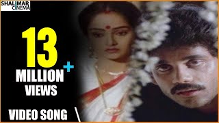 Majnu Movie  Idi Tholi Raatri Video Song  Nagarjuna Rajini  Shalimarcinema [upl. by Kiri]