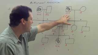 Autosomal Recessive Pedigree [upl. by Lauraine]