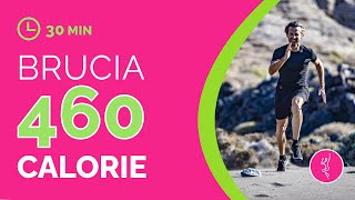 Allenamento a casa brucia 460 calorie in 30 minuti 🔥 NO SALTI [upl. by Icats]