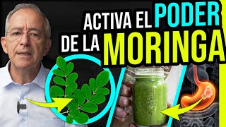 🌱 ASI SE PREPARA Y Consume La MORINGA  Oswaldo Restrepo RSC [upl. by Leanne]