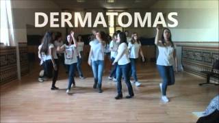 baile dermatomas y miotomas [upl. by Ahsinel]