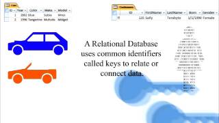 Database Literacy Why use a database [upl. by Ano173]