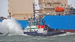 23 MINUTES OF MARINE TRAFFIC AT ROTTERDAM PORT NETHERLANDS 4K SHIPSPOTTING 2023 [upl. by Casimir507]