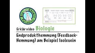 Erklärvideo Biologie – Endprodukthemmung FeedbackHemmung am Beispiel Isoleucin [upl. by Aiela156]