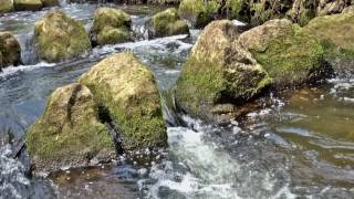 Wasserfall Geräusche und Wassergeräusche vom Wasserfall [upl. by Eissirk]