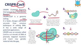 What is CRISPR  Cas9  CRISPR  Cas9 అంటే ఏమిటి  La Excellence [upl. by Nerag334]