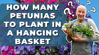 How Many Petunias to Plant in a Hanging Basket [upl. by Adamik]